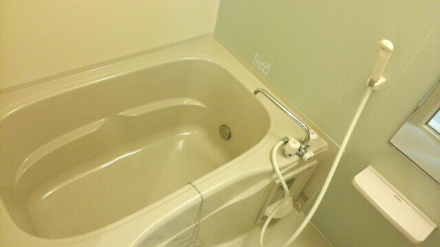 チェリーブロッサム