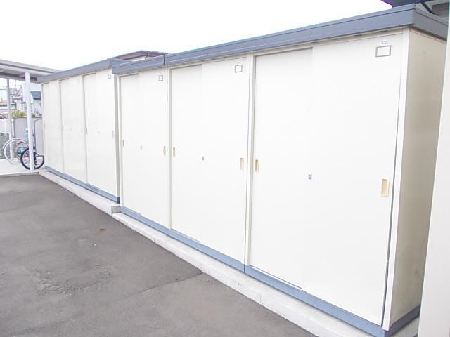 チェリーブロッサム