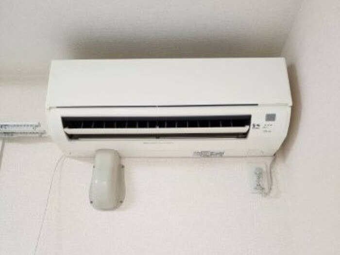 Victorian House Nort