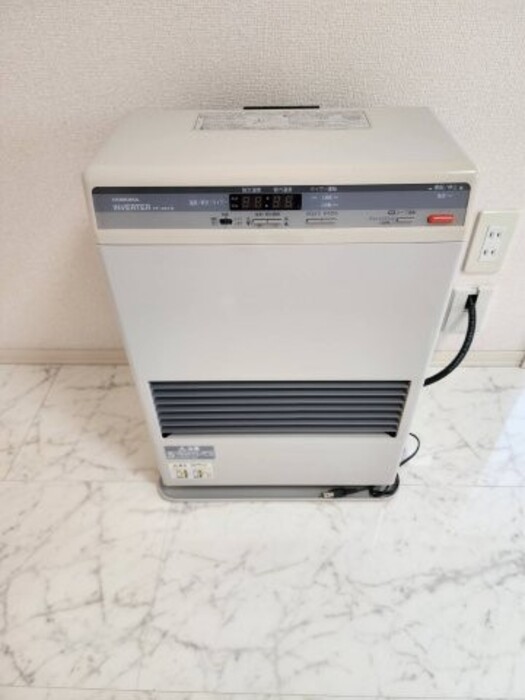 Victorian House Nort