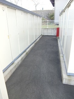 ミニョン ミュゲa