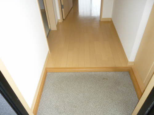 TSアルカディア