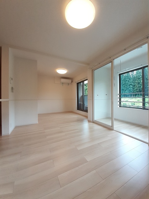 エヴァーグリーンD