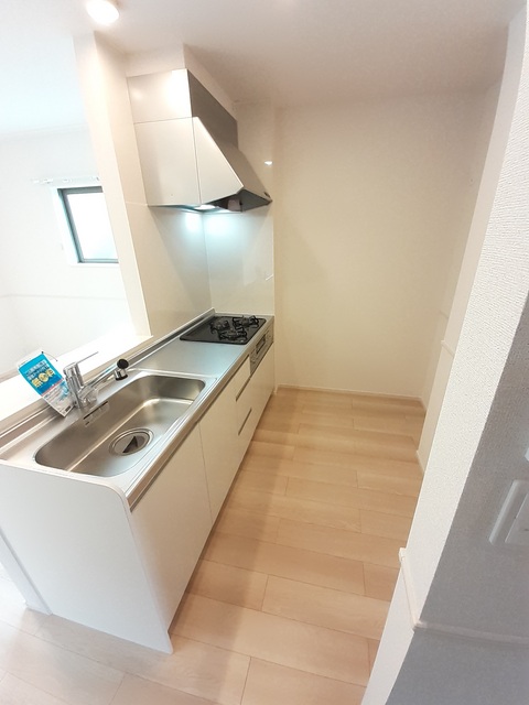 エヴァーグリーンD