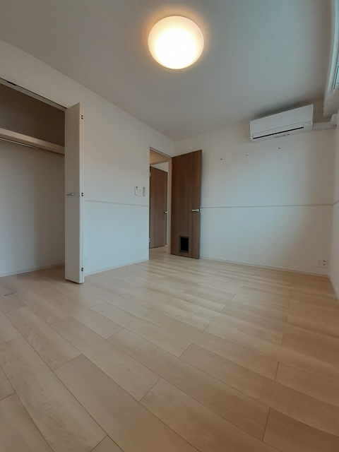 エヴァーグリーンD