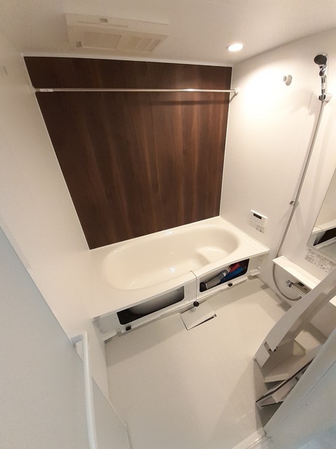 エヴァーグリーンD