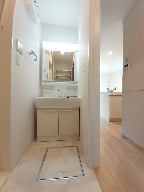 エヴァーグリーンD