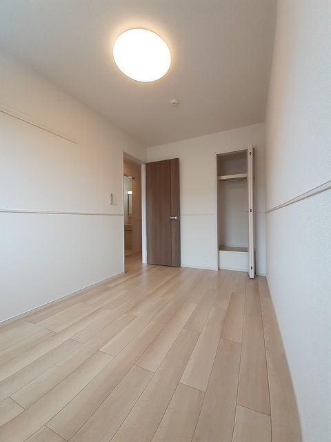 エヴァーグリーンD