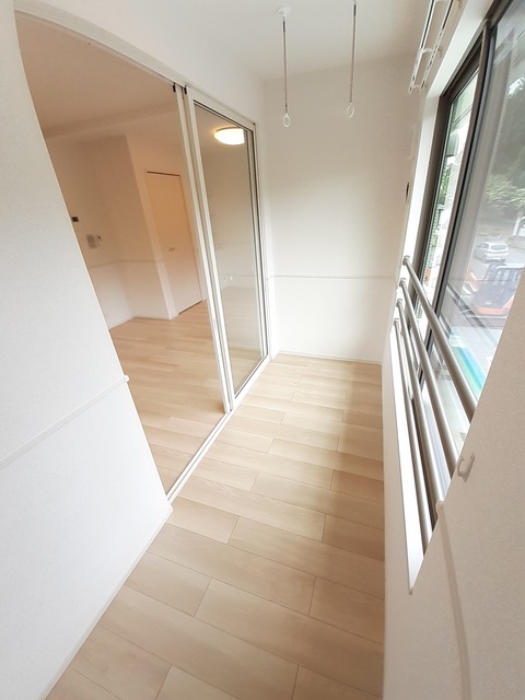 エヴァーグリーンD