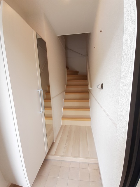 エヴァーグリーンD