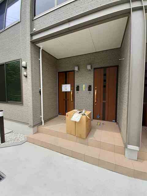 エヴァーグリーンD