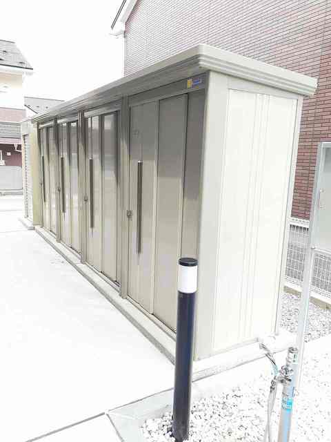 エヴァーグリーンD