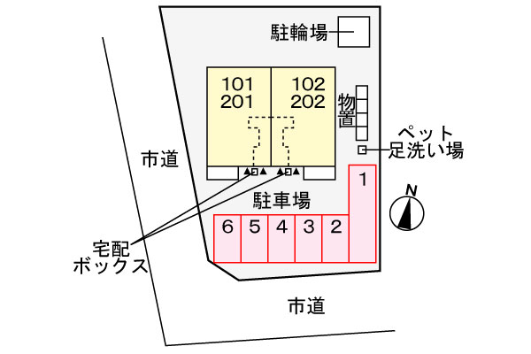 エヴァーグリーンD